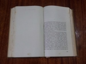 rebreanu-padurea-spinzuratilor-prima-pagina