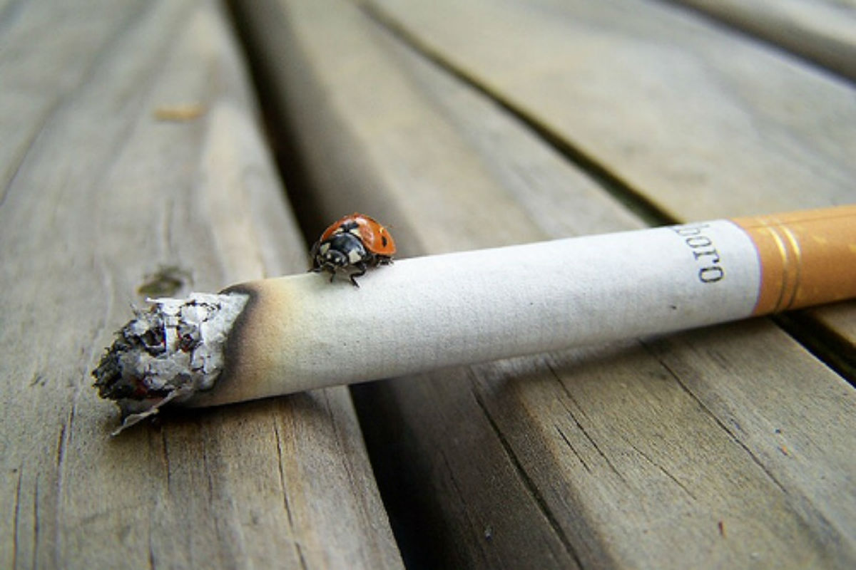 lege-anti-fumat